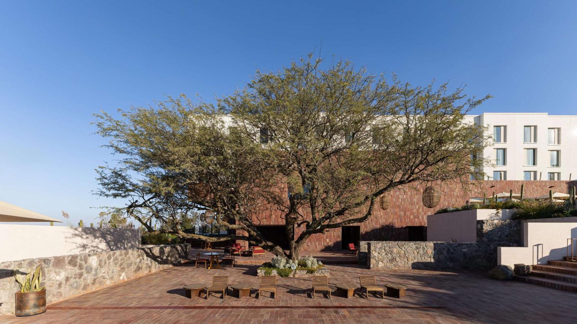 Albor San Miguel De Allende, Tapestry Collection By Hilton Экстерьер фото